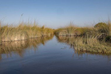 Yazın nehrin manzarası