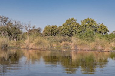 Gölün güzel manzarası.