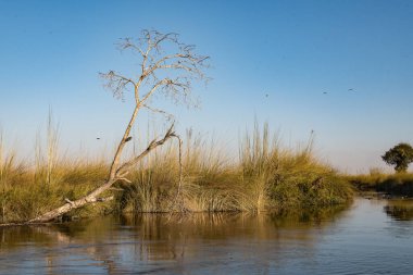 Parktaki gölün güzel manzarası