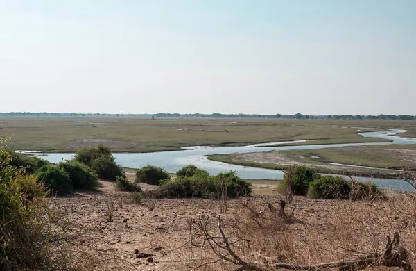 Güzel bir manzara. Doğa arkaplanı