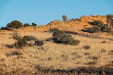 Dağlarda nehri olan güzel bir manzara.