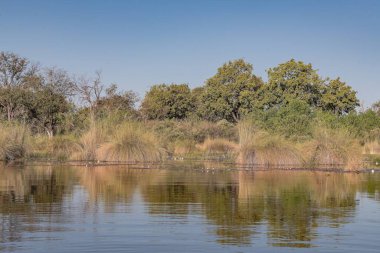 Parktaki güzel göl manzarası