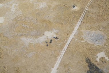 İsrail 'in kuzeyindeki ölü denizin havadan görünüşü.