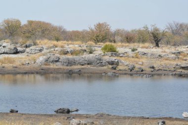 Dağlardaki gölün manzarası.