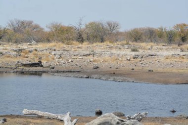 a large white water in a lake