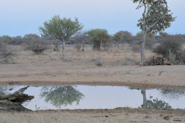 a beautiful landscape of a river in the morning