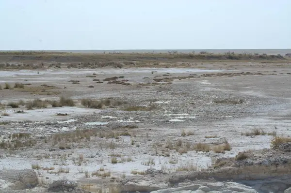 İsrail 'deki ölü denizin tuz tarlası.