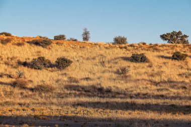 Güzel sonbahar manzarası dağlarda