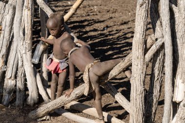 Masai Mara, Kenya - 11 Ağustos, 2019: Masai Köyü, Kenya