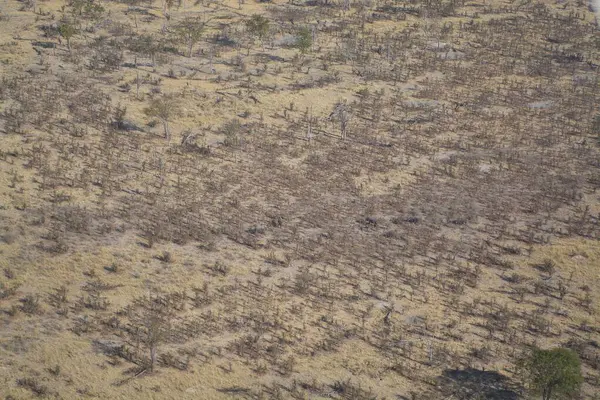 Çölün havadan görünüşü