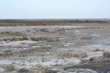 the salt river in the north of the dead sea