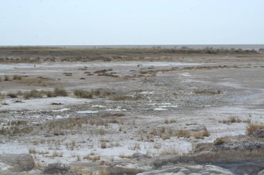 salt lake with a dead salt in the north sea. salt in the desert.