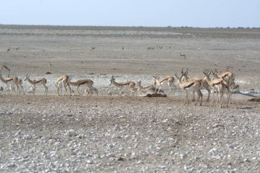Doğanın güzel manzarası