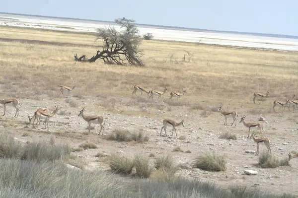 Doğanın güzel manzarası