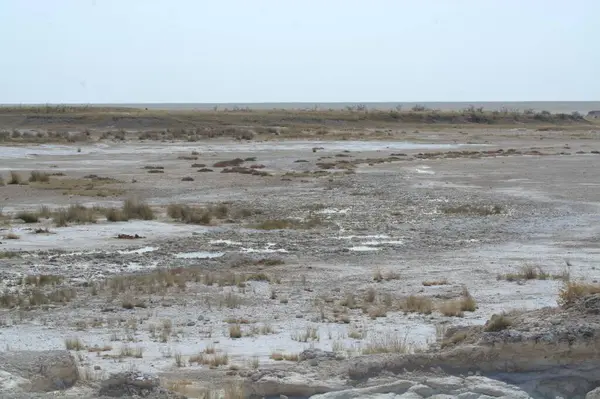 salt lake with a dead salt in the north sea. salt in the desert.