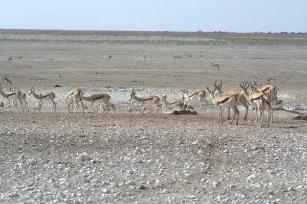 Doğanın güzel manzarası