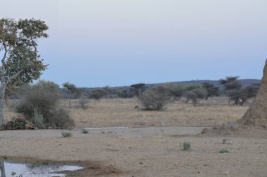 the beautiful landscape in the mountains of kenya