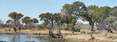 Kruger Ulusal Parkı, Güney Afrika