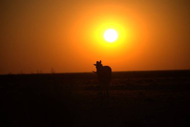 Gölde güzel bir gün batımı