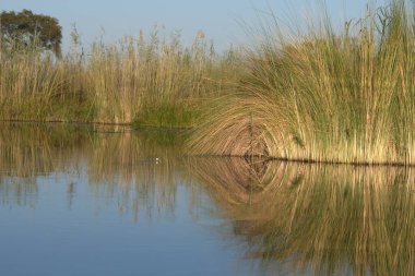 Nehrin güzel manzarası