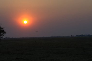 Parkta güzel bir gün batımı
