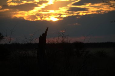 Gölde gün batımı