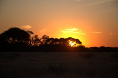 Çölde güzel bir gün batımı