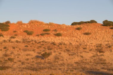Afrika 'nın Sahara' sındaki çöl manzarası.