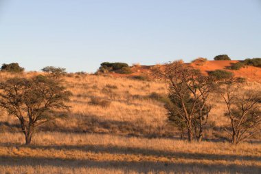 güzel doğa doğal görünümü