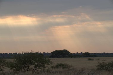 Kenya bozkırında gün batımı