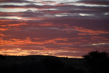 Doğada güzel bir gün batımı