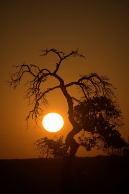 Doğanın güzel manzarası