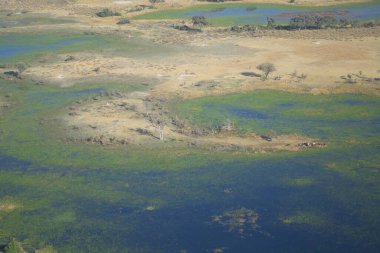 Yeşil alan ve ağaçlar