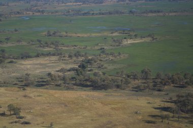 Sabahları savananın havadan görünüşü