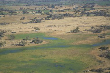 Bir kuşun gözünden güzel bir manzara