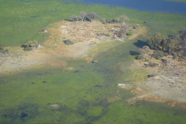 Güzel bir göle havadan görünümü
