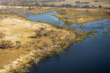 Ormandaki bataklığın havadan görünüşü, Botswana