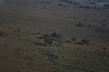Ormanın güzel bir manzarasının hava aracı görüntüsü.