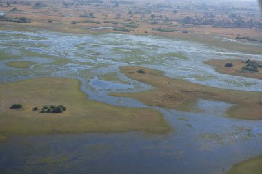 Kenya 'daki Masai Mara' nın havadan görünüşü