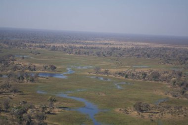 Botswana, Afrika - Eylül 19, 21: 00 Savannah Nehri 'nden.