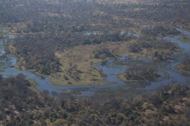 Ormandaki gölün havadan görünüşü