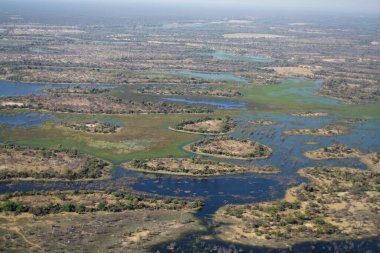 Kenya, Afrika 'daki nehrin havadan görünüşü.