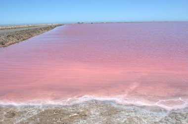 Arka planda pembe tuz ve pembe deniz var.