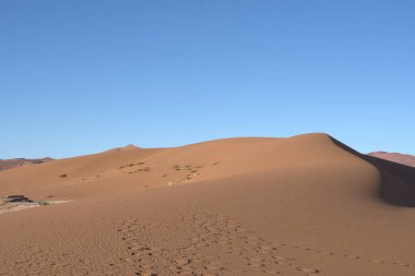 Namib naukluft ulusal parkının güzel kumulları, namibya