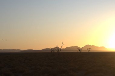Dağların güzel manzarası