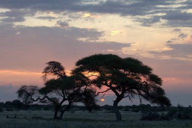 Parkta güzel bir gün batımı