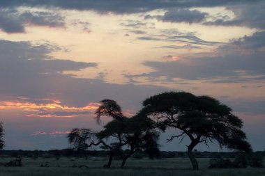 Afrika, Kenya 'da günbatımı