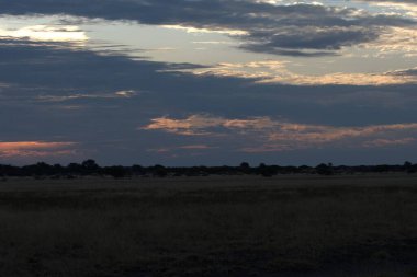 Akşamları bozkırın manzarası