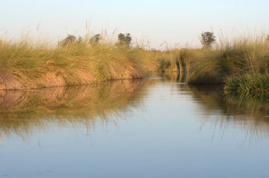 Parkta güzel bir gün batımı