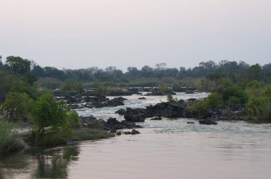 Tayland ormanındaki nehir..